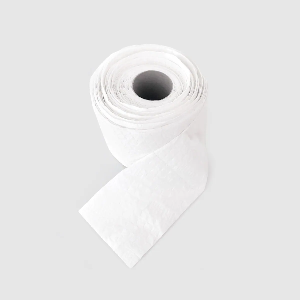 THE SEXIEST TOILET PAPER